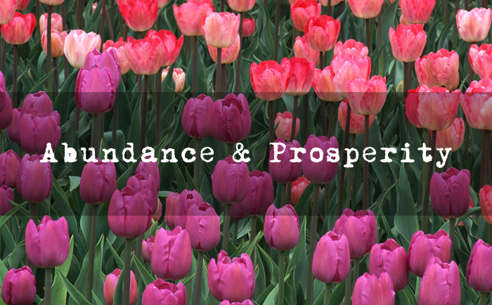 Abundance and Prosperity