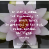 Be Like a Lotus Quote