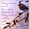 Every Morning We Are Born Again