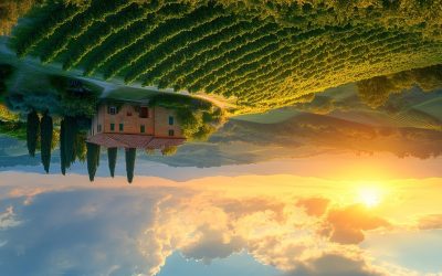 A Quick Lesson in Living From Your Universal Soul