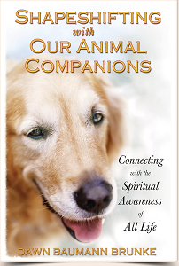 Shapeshifting with Our Animal Companions