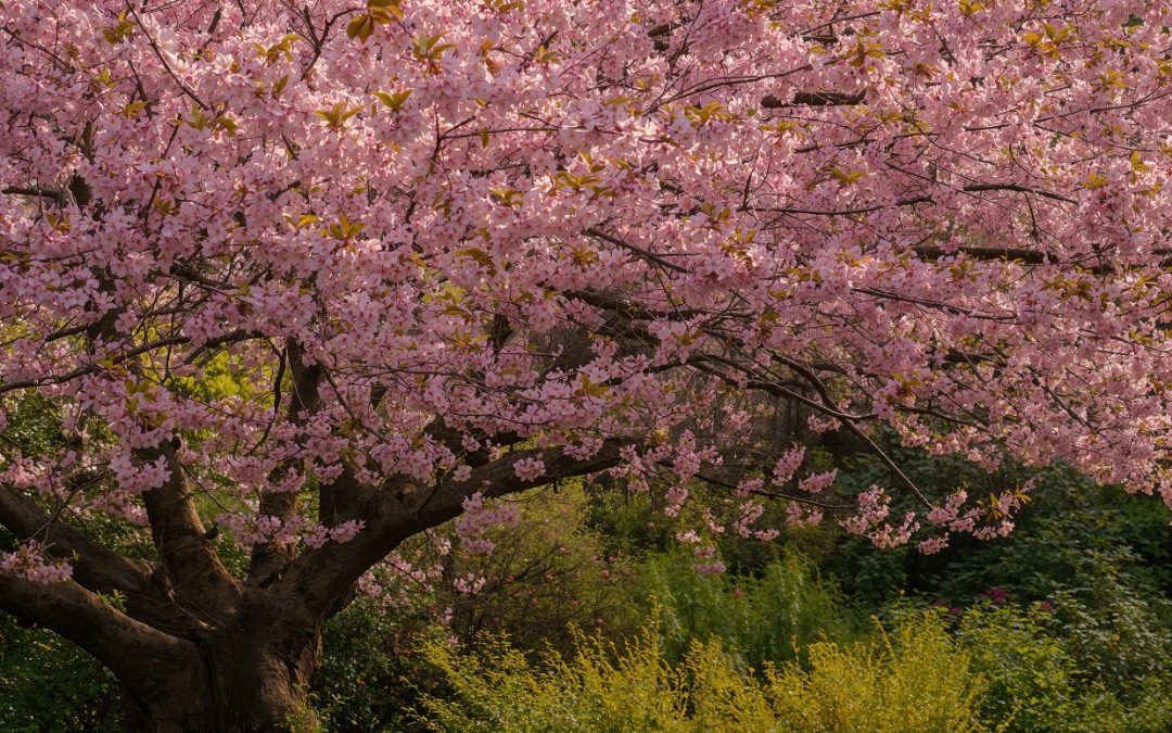 Redefining “New” in New Beginnings