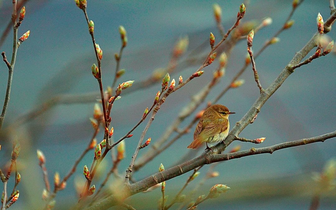 The Liminal Season: New Beginnings