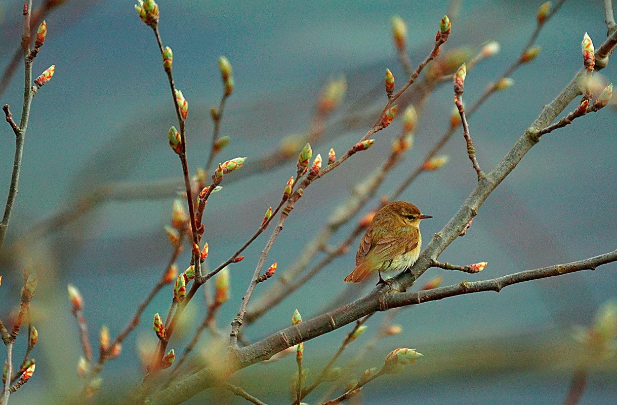 The Liminal Season: New Beginnings